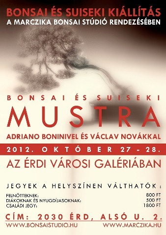 bonsai es suiseki kiallitas, bonsai exhibition, bonsai gallery, marczika bonsai studio erd hungary, vaclav novak, adriano bonini, milan karpisek, bonsai es suiseki kiallitas a marczika bonsai studio rendezeseben az erdi varosi galeriaban adriano boninivel es vaclav novakkal
